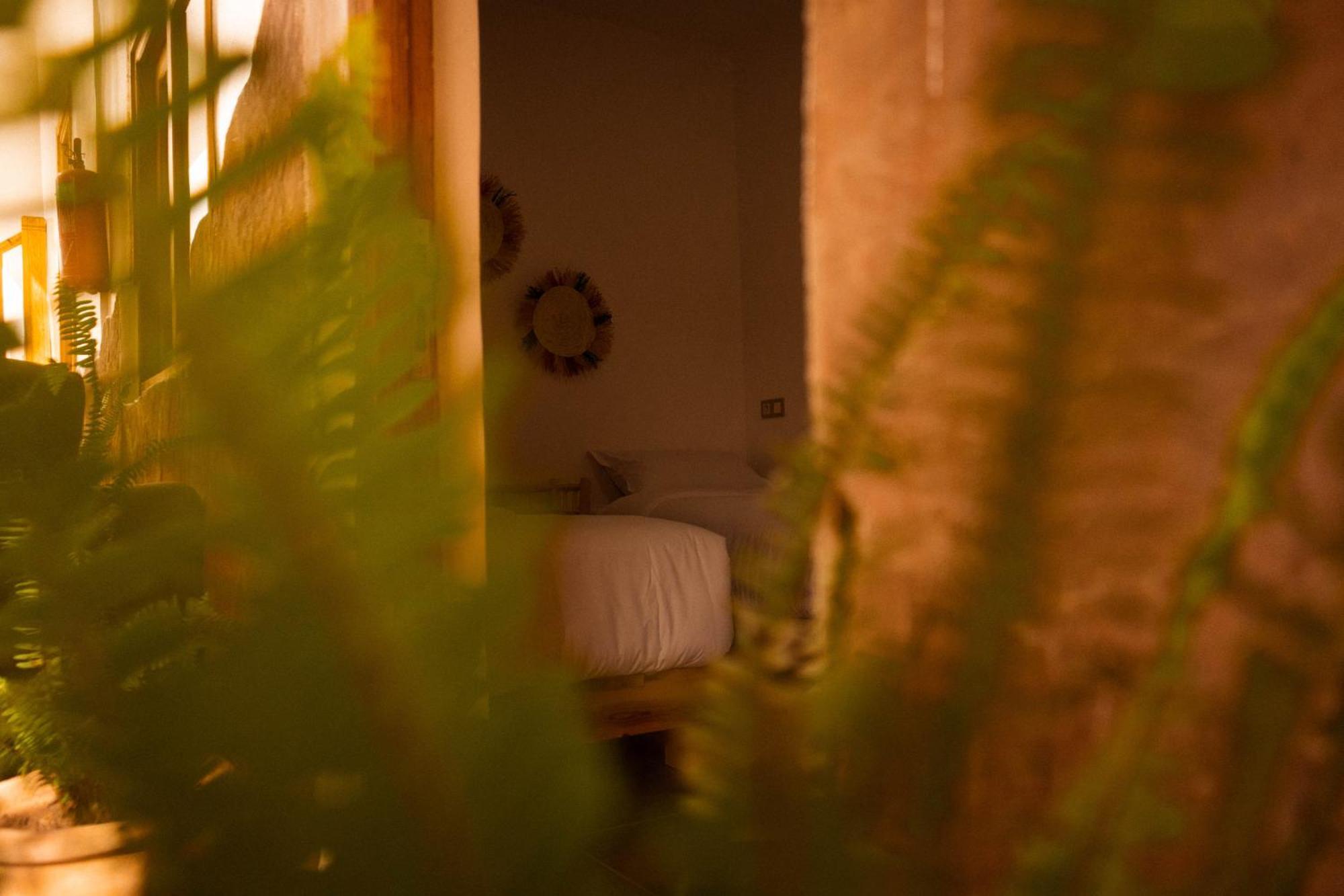 Single Fin Taghazout Surf & Stay Екстериор снимка