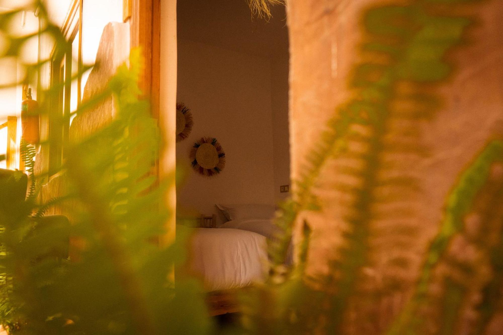 Single Fin Taghazout Surf & Stay Екстериор снимка